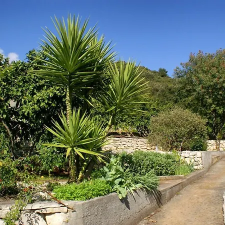 Apartament By The Sea Cove Vrbovica Bay - Vrbovica Zrnovo