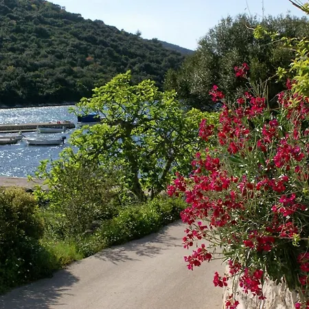 By The Sea Cove Vrbovica Bay - Vrbovica * Zrnovo